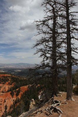 IMG_0172.jpg