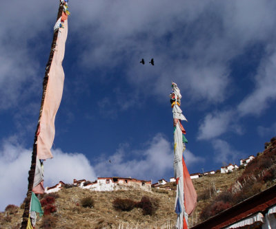 Vultures at Tibetan burial