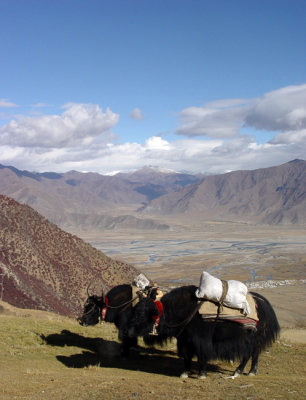 The tractors of Tibet