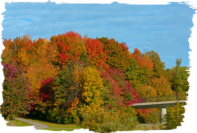 20121009 050 Fall Colours.jpg