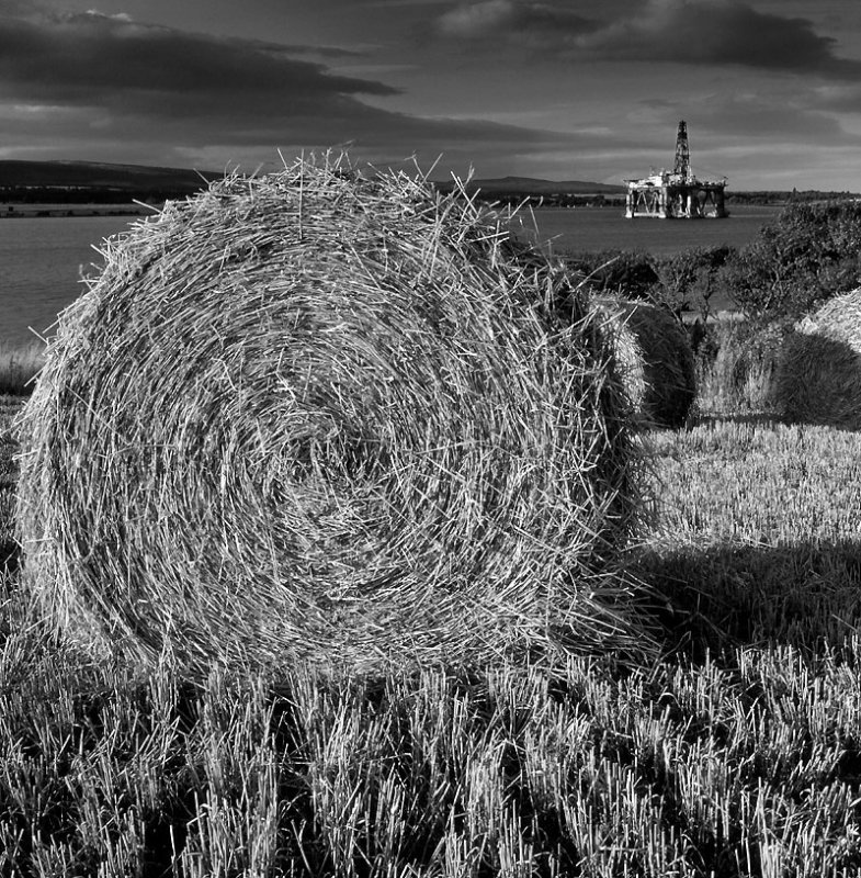 Bales Cromarty