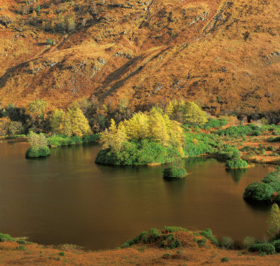 Autumn Loch Urr