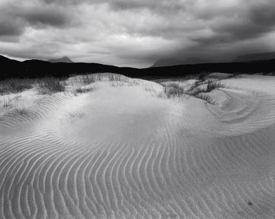 Wind Warp
