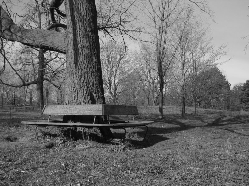 High Park - Toronto.JPG