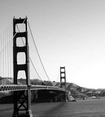Gulls Under Golden Gate.jpg
