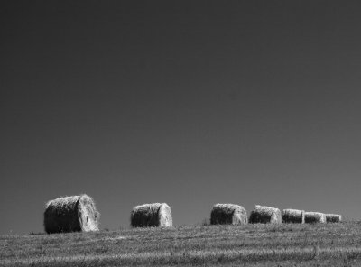 Haystacks North of Calgary.jpg