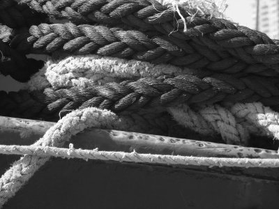 Ropes - Toronto Harbour.JPG