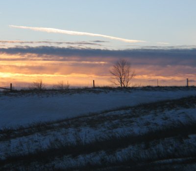Winter Sunset.JPG