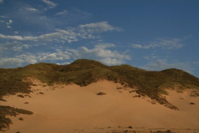 Sand Dune - Big Sur CA.JPG