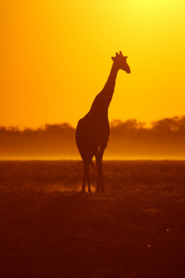 Namutoni sunsets