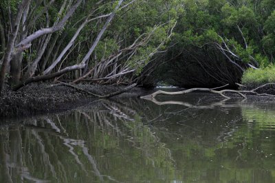 secret creek