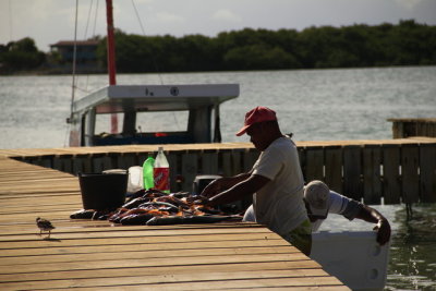 Pescador limpando peixes