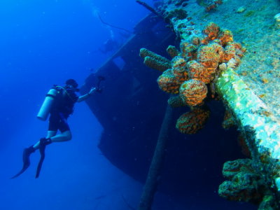 Hilma Hooker