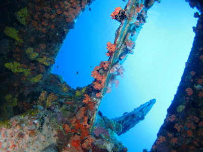 Hilma Hooker