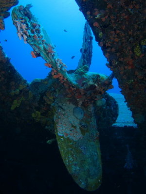 Hilma Hooker