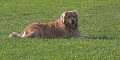 IMG_0783-01.jpg