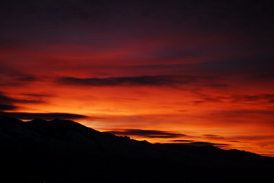 Sailors Delight !