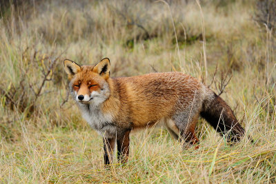 Natuur Stian