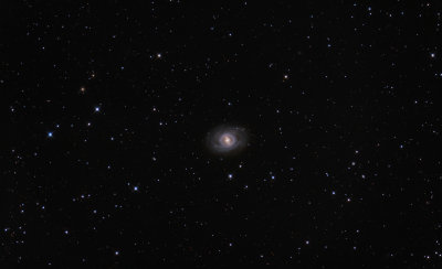 NGC3351 (M95) - Barred Spiral Galaxy