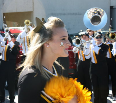 App_Band_12_Fur_0003.jpg
