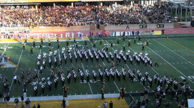 App_Band_12_Fur_0020.jpg