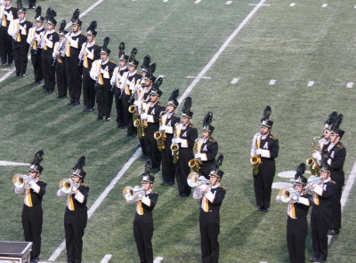 App_Band_12_Fur_0027.jpg