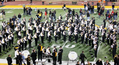 App_Band_12_Fur_0032.jpg