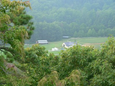 More views from deck