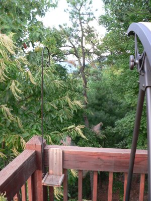 Deck off of dining room