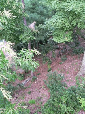 More views from deck