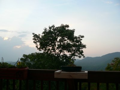 View from Deck