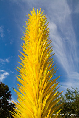Chihuly Glass at the Dallas Arboretum