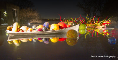 Chihuly Glass at the Dallas Arboretum at Night