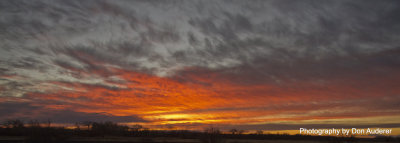 Sunrise at Bosque del Apache
