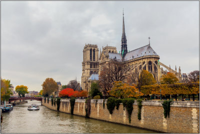 Cathdrale Notre Dame Along the River Seine