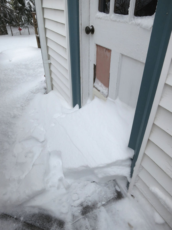 First priority: shovel out the cat door