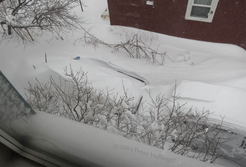 Good thing i dont have to get my car out today