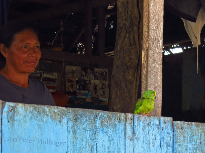 Woman with tame parakeet