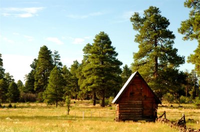 Cabin_0167 w.jpg