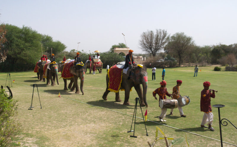 Elephants parading before polo