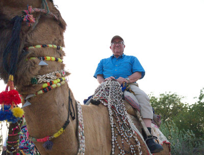 Tom on a camel
