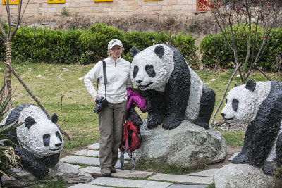 Sue with artificial pandas