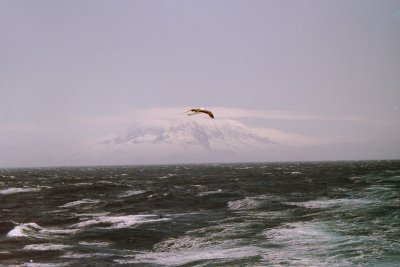 Heard Island