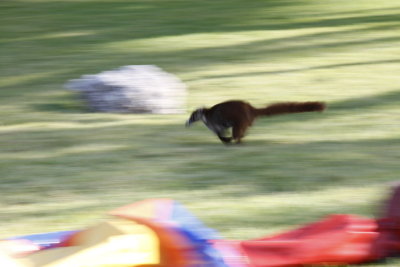 _MG_0227.JPG