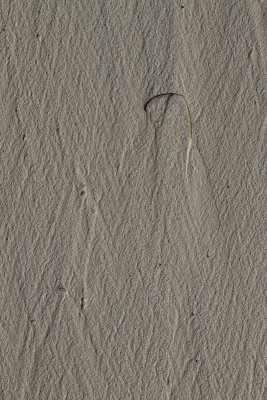 _MG_0242.JPG