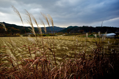 AE_KOREA_PREWEDDING_TRIP_NOV2012_0315_.jpg