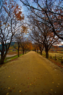 AE_KOREA_PREWEDDING_TRIP_NOV2012_0411_.jpg