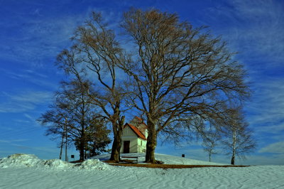 Dreibuchenhhe im Winter, Bromberg