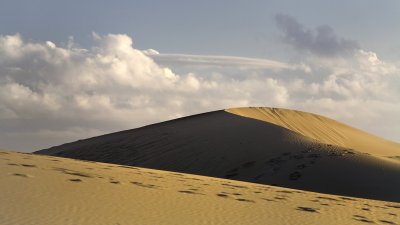 Warm Dunes