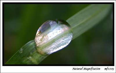 Natural Magnification